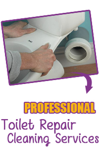 toilet repair services